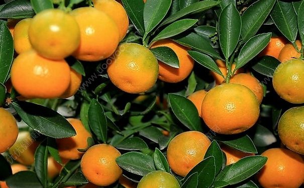 ���Ӷ�����ʲô�ô� ����������Щ�ô�